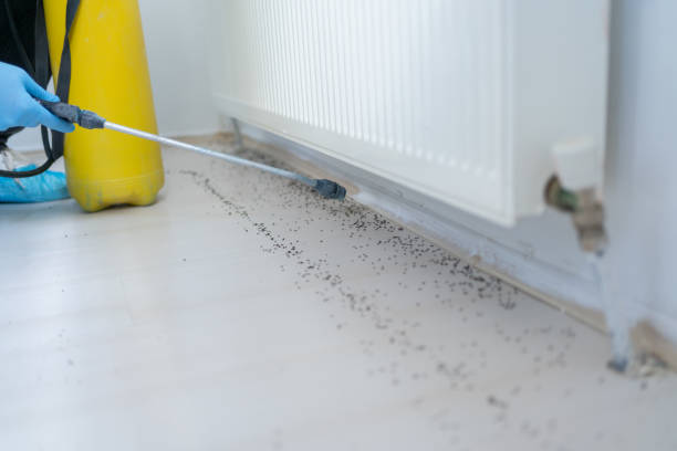 Best Commercial Pest Control Services  in Freeland, PA